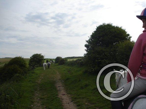 Walking along Coombe Rise 2