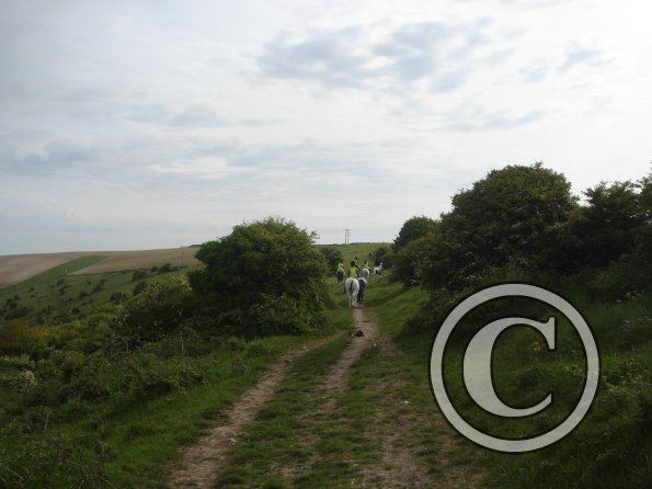 Walking along Coombe Rise 3