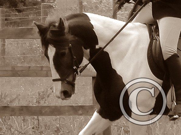 Anna and Lance warmup (3)