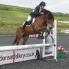 OVDRC show jumping