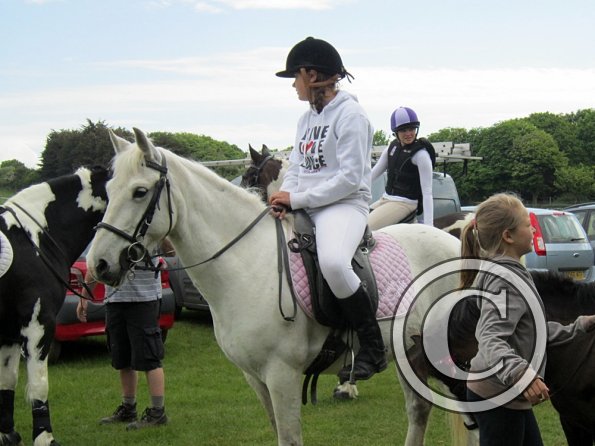 Arrival of the hackers (3)