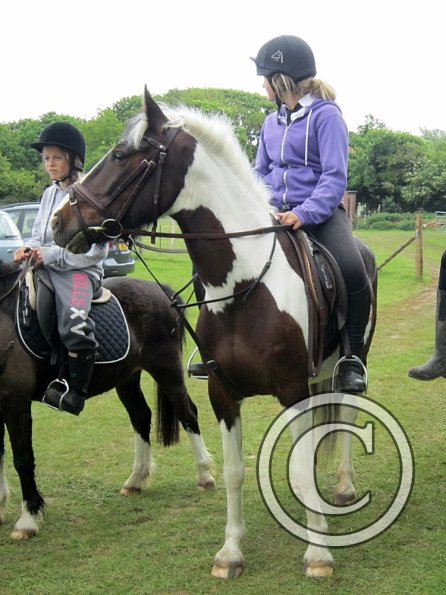 Arrival of the hackers (4)