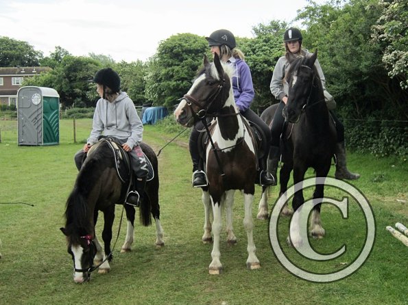 Arrival of the hackers (5)