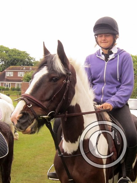 Arrival of the hackers (6)