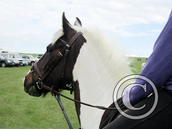 Arrival of the hackers (7)