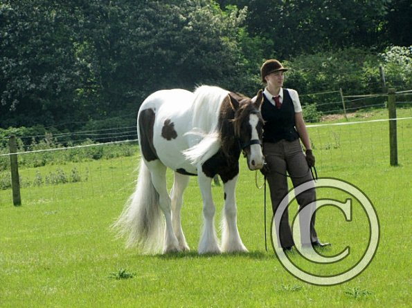 Condition and turnout (10)