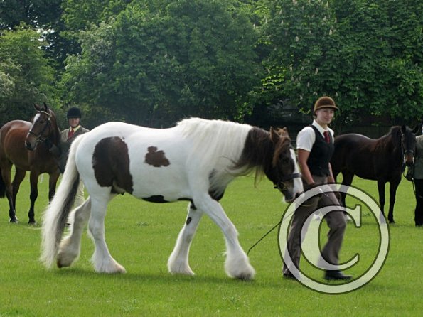 Condition and turnout (12)