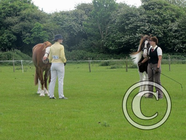 Condition and turnout (15)