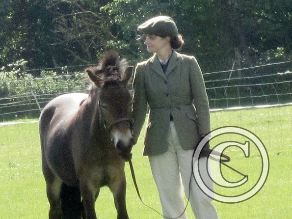 Condition and turnout (4)