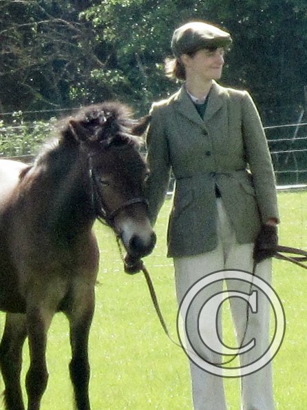 Condition and turnout (5)