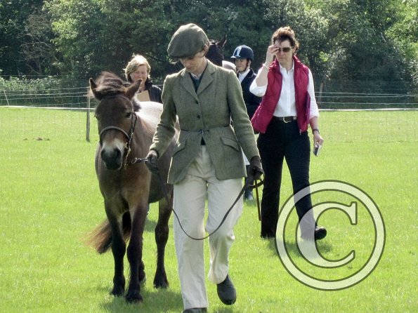 Condition and turnout (6)