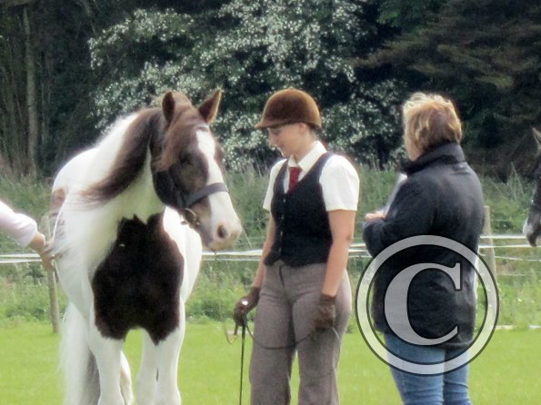 Condition and turnout (7)