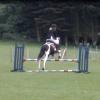 Fee jumping6