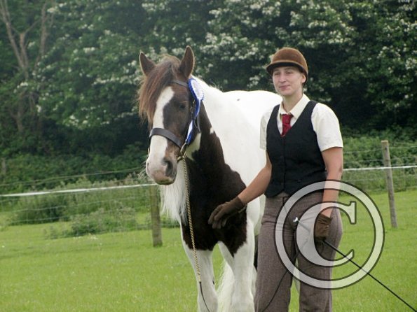 Lance condition and turnout (3)