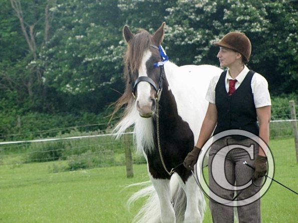 Lance condition and turnout