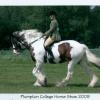 Plumpton - Anna and Lucy 1