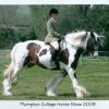 Plumpton - Anna and Lucy2