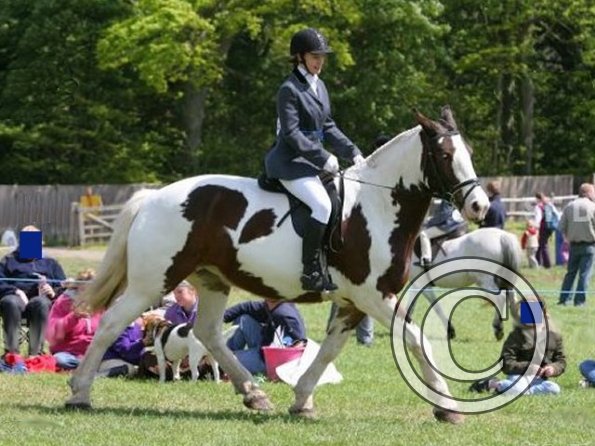 Anna and Lucy trotting ANON