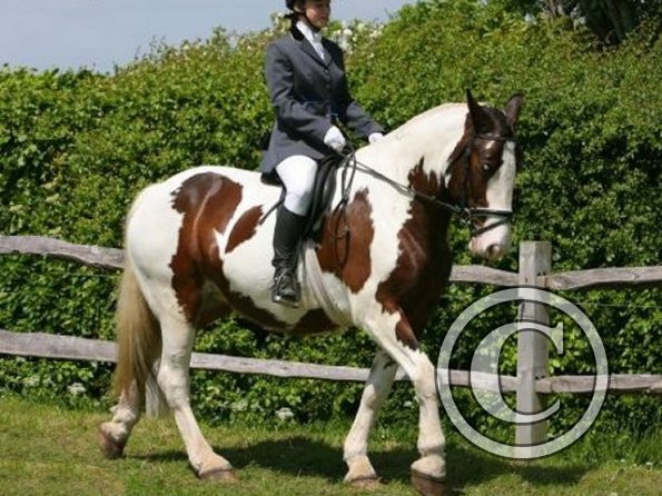 Anna and Lucy walking