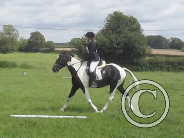 JD Dressage