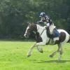 Lance XC gallop (3)