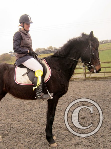 Rhi Brendon Stud jumping (3)