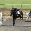 Rhi Brendon Stud jumping (4)
