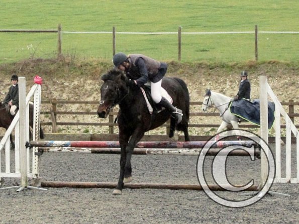 Rhi Brendon Stud jumping (4)