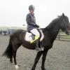 Rhi Brendon Stud jumping (6)