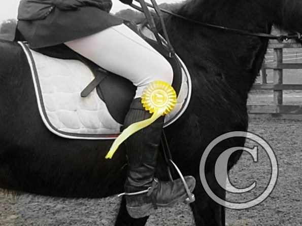 Rhi Brendon Stud jumping (9)