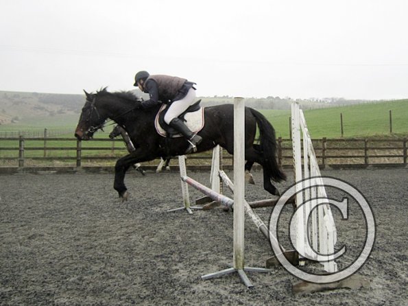 Rhi Brendon Stud jumping