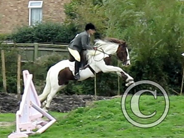 Anna and Lance jumping (12)