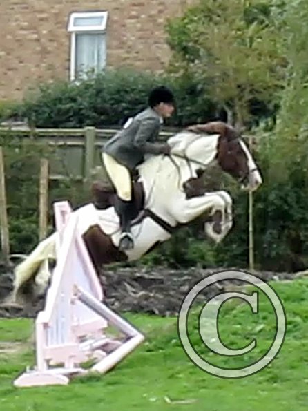 Anna and Lance jumping (13)