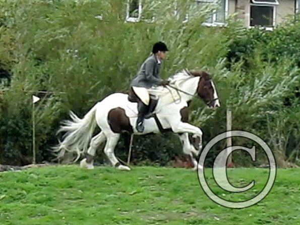 Anna and Lance jumping (14)