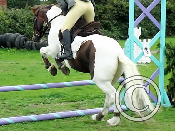 Anna and Lance jumping (2)