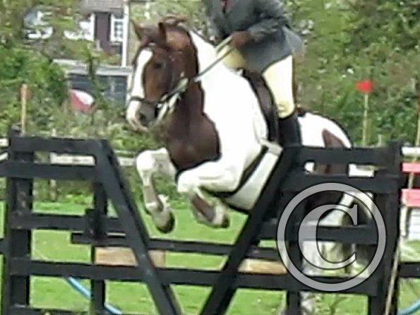 Anna and Lance jumping (6)