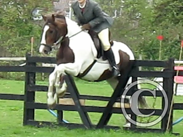 Anna and Lance jumping (7)