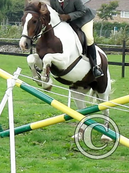 Anna and Lance jumping