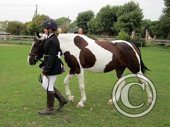 Cooloured in hand (2)