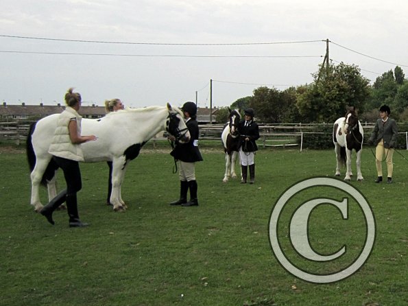 Cooloured in hand (3)