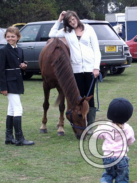 family pony