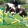 Fee and Jade jumping