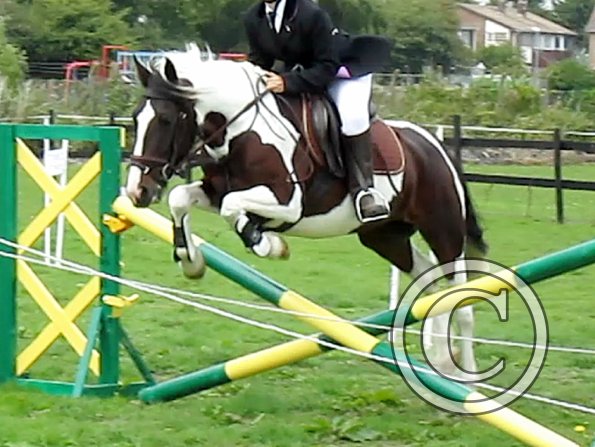 Fee and Jade jumping