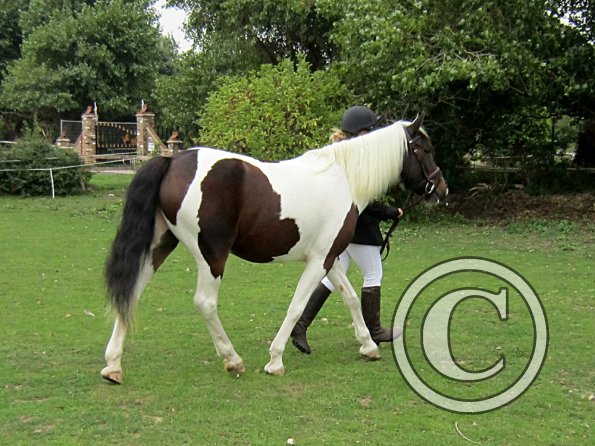 Fee coloured in hand (2)