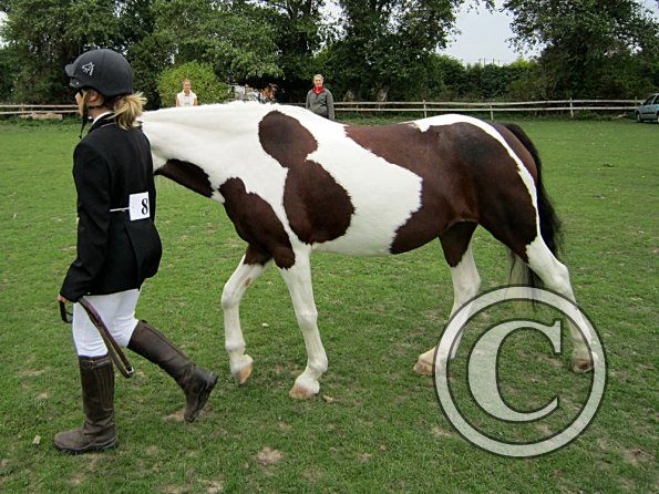 Fee coloured in hand