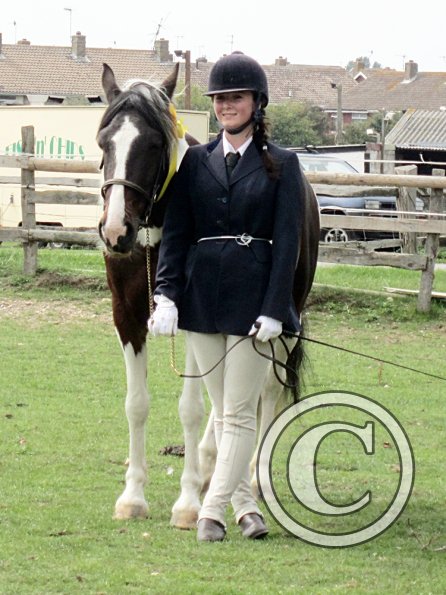 Fee prettiest mare (2)