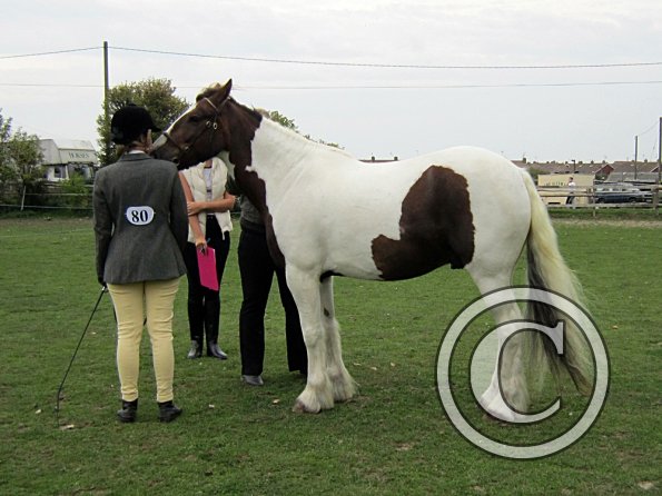 Lance coloured in hand (4)