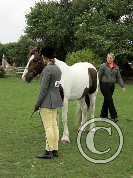 Lance coloured in hand (5)