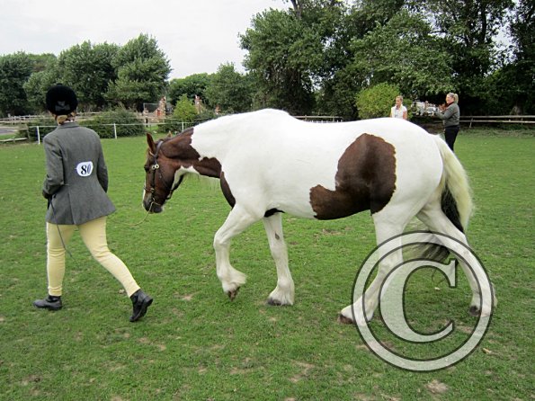 Lance coloured in hand