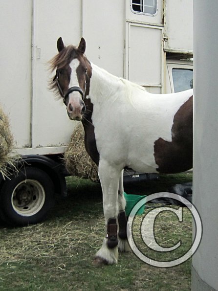 Lance posing on the box (2)